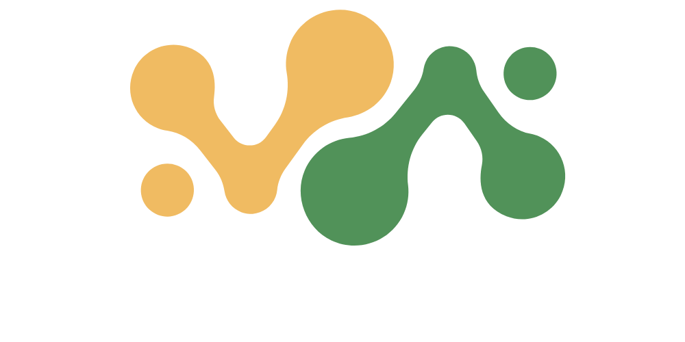 Midas Rio